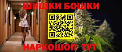 гашик Можга
