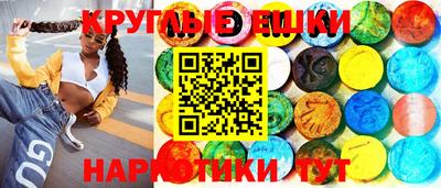 гашик Можга
